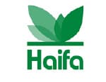 Haifa
